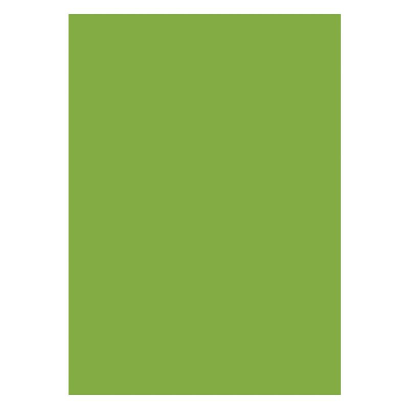 HEYDA Hedvábný papír 50 x 70 cm - světle zelený 5 ks DAVER, spol. s r.o.