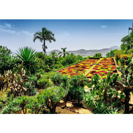 RAVENSBURGER Kouzelné zahrady Botanická zahrada Madeira 1000 dílků