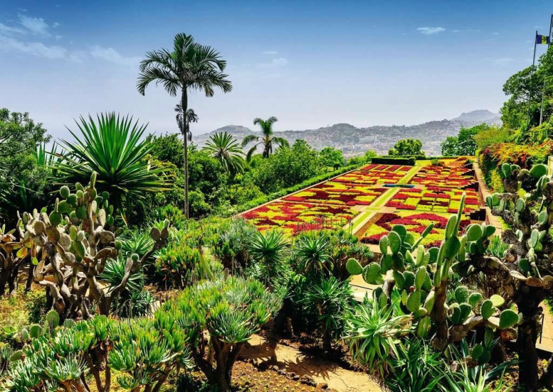 RAVENSBURGER Kouzelné zahrady Botanická zahrada Madeira 1000 dílků