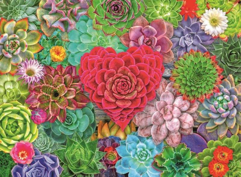 Ravensburger Puzzle Sukulentní ráj 500 dílků