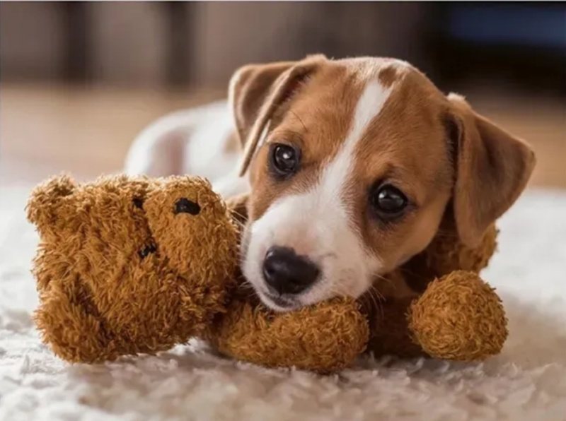 Ravensburger puzzle Hřejivé objetí 500 dílků