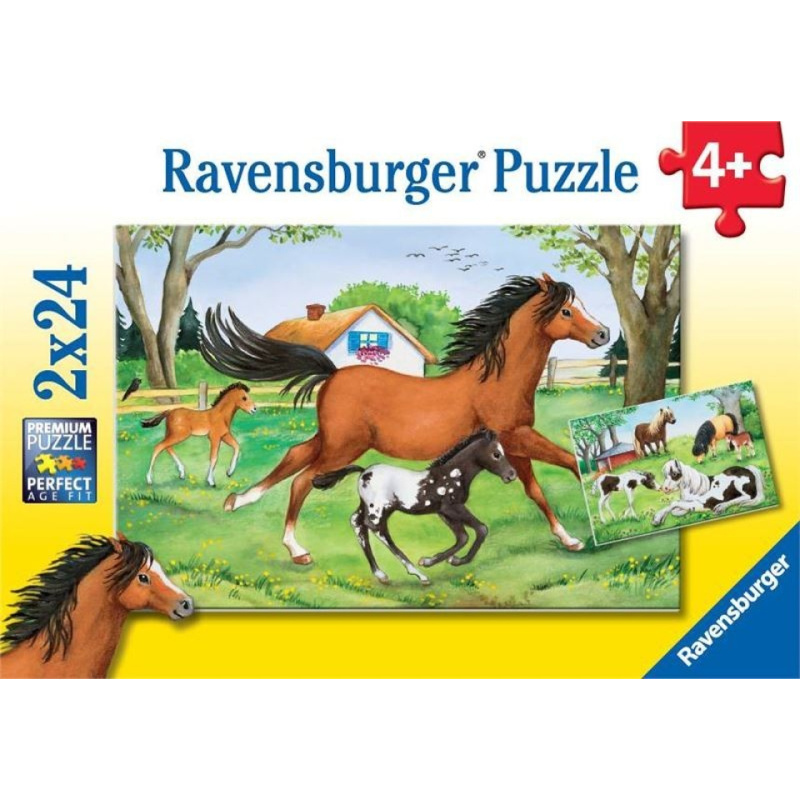 RAVENSBURGER Puzzle Svět koní 2x24 dílků