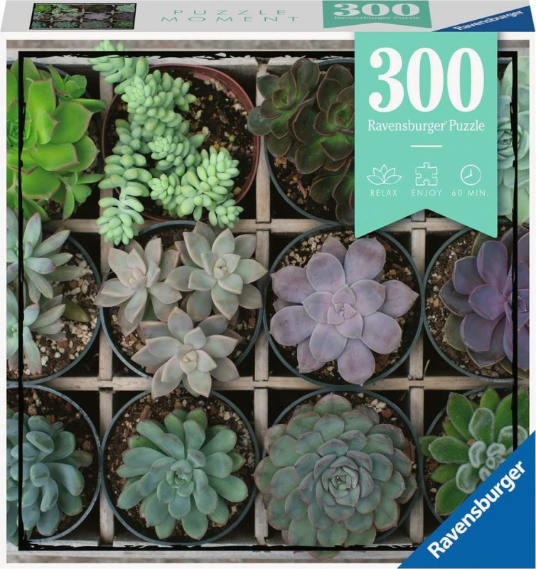 RAVENSBURGER Moment: Zeleň 300 dílků