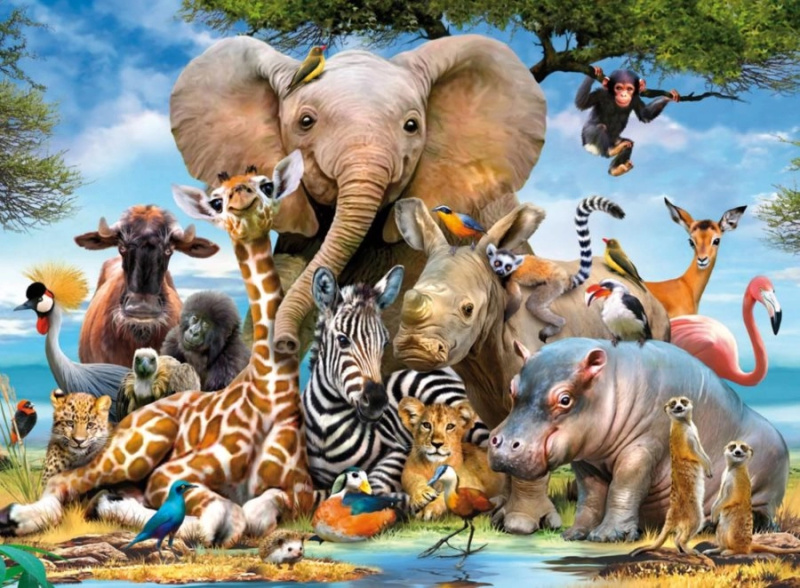 Ravensburger Afričtí přátelé 300 dílků