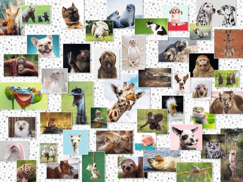 RAVENSBURGER Koláž se zvířecími ksichtíky 1500 dílků