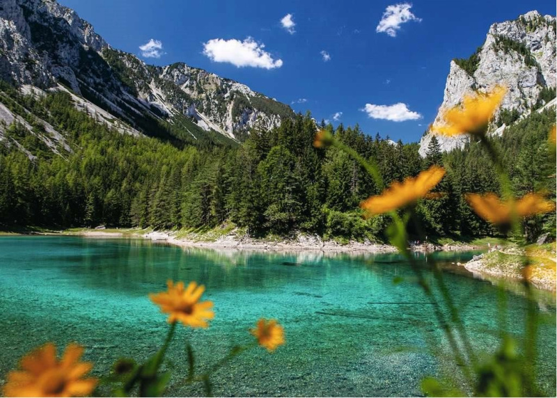 RAVENSBURGER Zelené jezero Tragöß Rakousko 1000 dílků