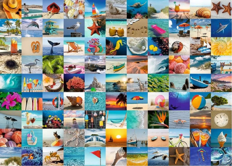 RAVENSBURGER 99 okamžiků u moře 1000 dílků
