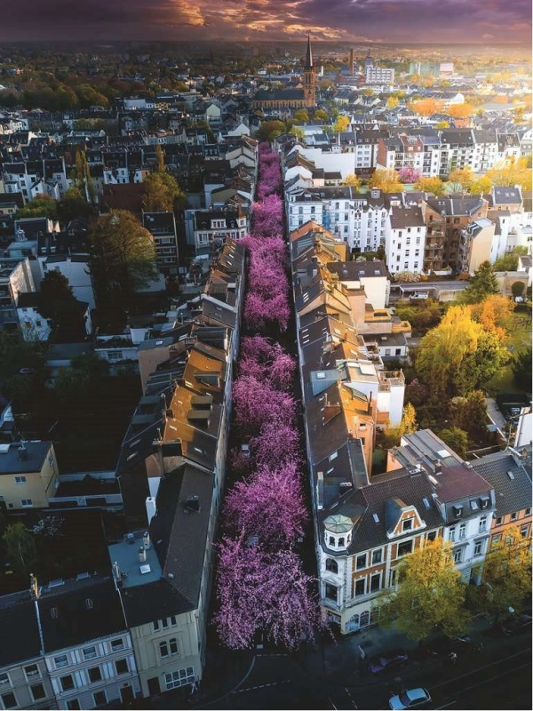 RAVENSBURGER Rozkvetlý Bonn 1500 dílků