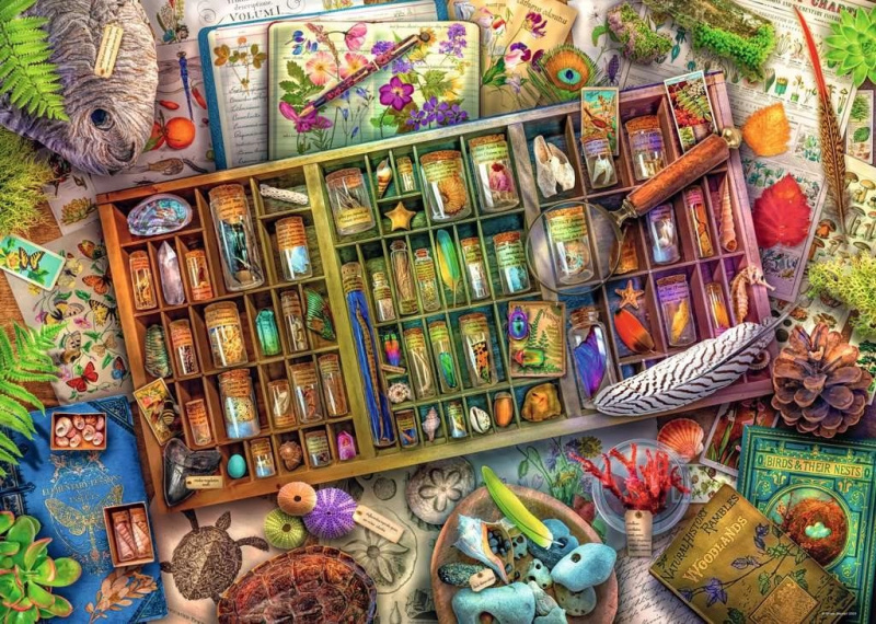 RAVENSBURGER Přírodopisná sbírka 1000 dílků