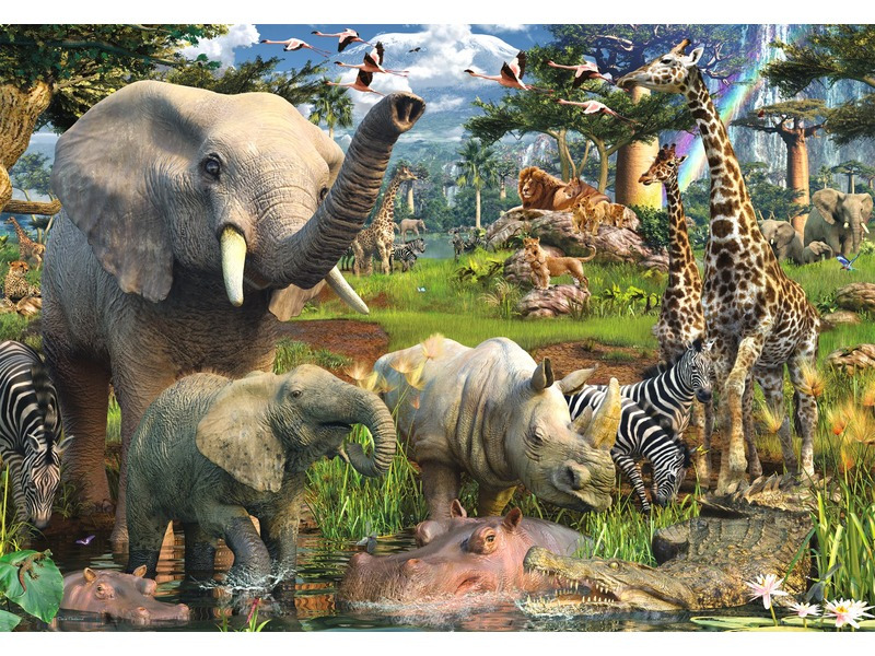 RAVENSBURGER Puzzle Zvířata u zdroje vody 18000 dílků