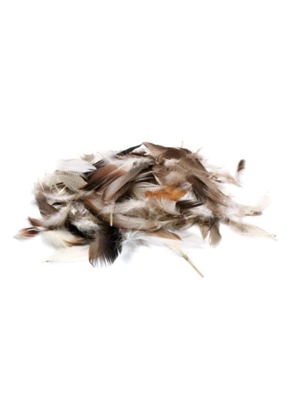 Peří Rayher, 10 g, přírodní "pepita", 7-9 cm Ing.Eva Klejnová