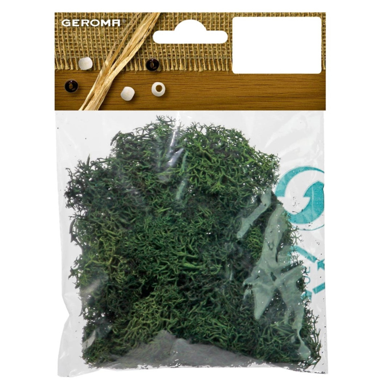 Islandský mech ideální dekorace a mech pro kutily sáček 25 g