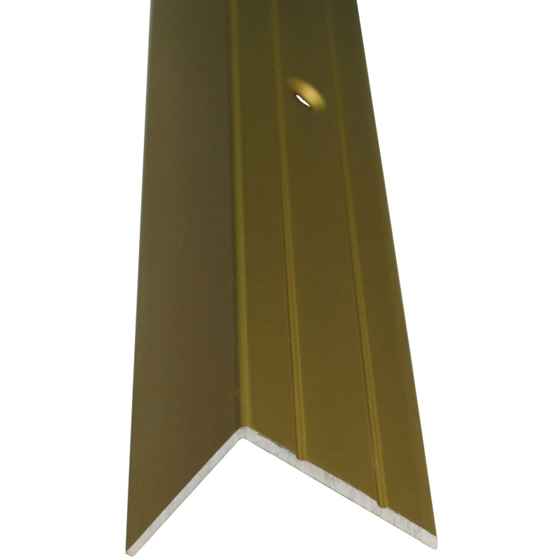 Döllken Profiles Schodová hrana DP 36 šroubovací 25 x 20 x 900 mm, zlatá