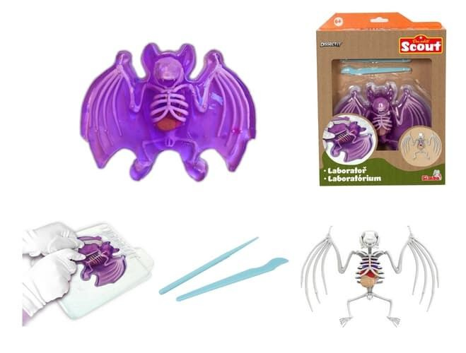 Objevuj: pitva netopýra – vzdělávací sada se slizem