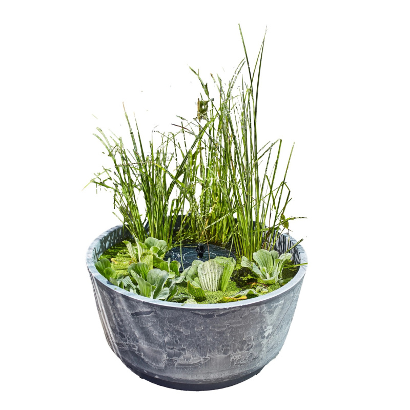 Heissner Solární vodní zahrada Aquatopia, vzhled betonu