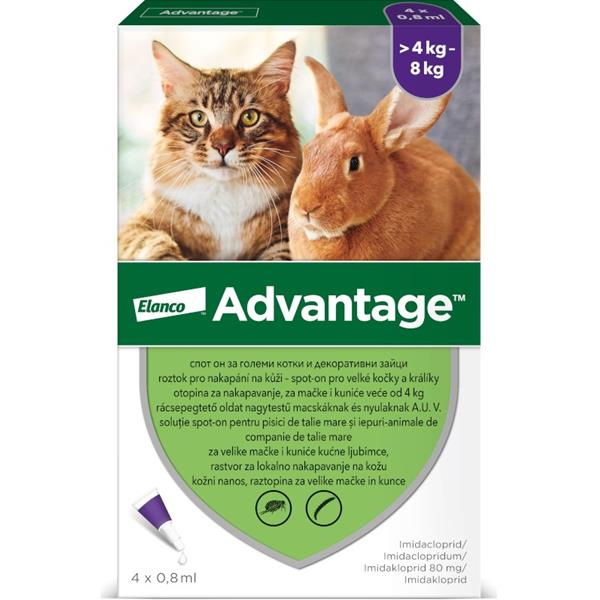Advantage 80 10% 4x0,8ml pro kočky nad 4kg