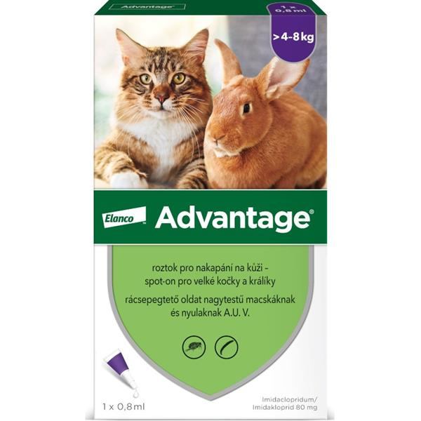 Advantage 80 10% 1x0,8ml pro kočky nad 4kg