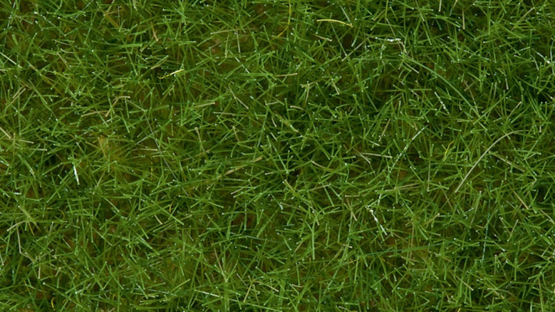 Noch Statická tráva divoká světle zelená 6 mm