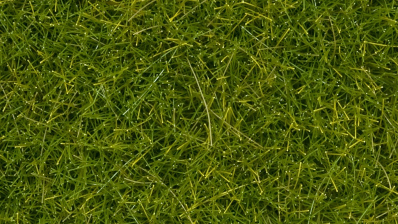 Noch Statická tráva divoká světle zelená XL 12 mm