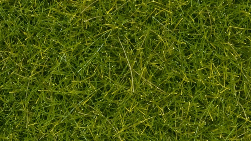 Noch Statická tráva divoká světle zelená XL 12 mm