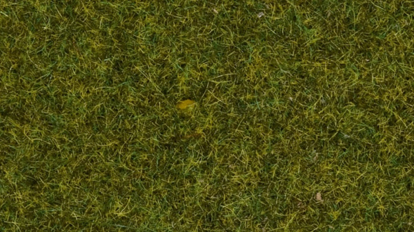 Noch Statická tráva divoká Louka 9 mm