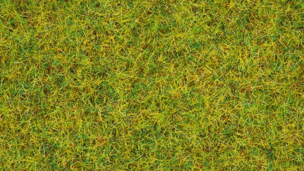 Noch Statická tráva Letní louka 2,5 mm