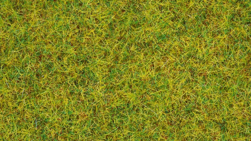 Noch Statická tráva Letní louka 2,5 mm