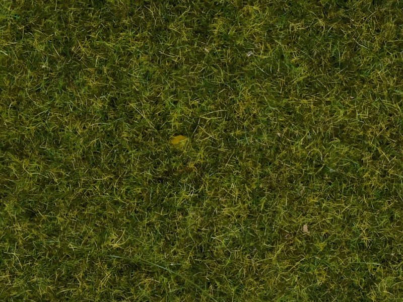 Noch Statická tráva Louka 2,5 mm
