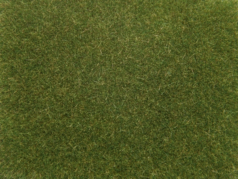 Noch Statická tráva světle zelená 4 mm