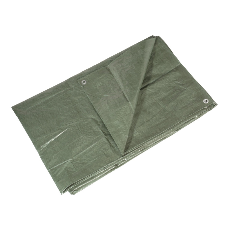 LUX-TOOLS Krycí plachta s oky Classic, 80 g/m2, zelená, 2 x 3 m