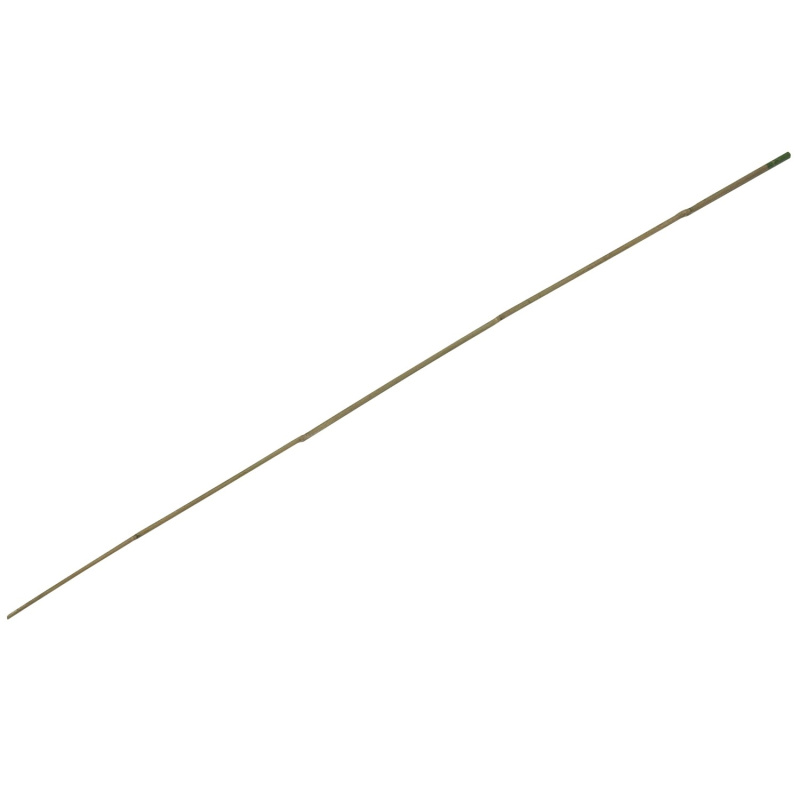 OBI Bambusová tyč 120 cm x průměr 2 cm