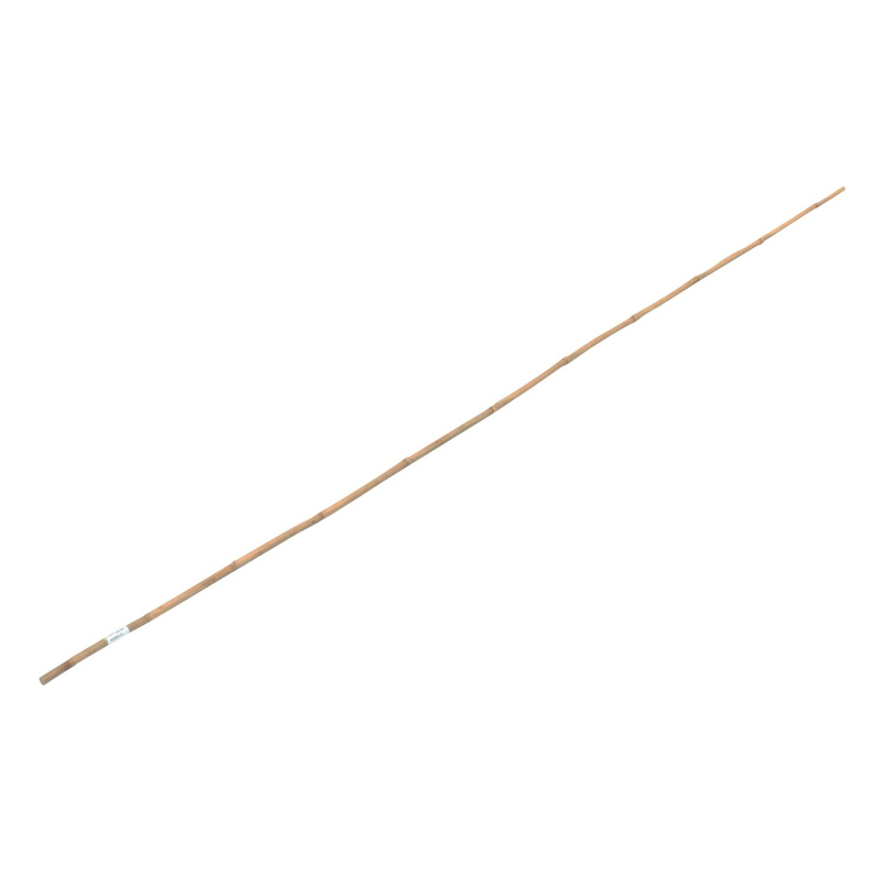 OBI Bambusová tyč 180 cm x průměr cca 1,2 cm