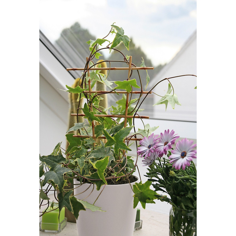 OBI Mřížka na květiny 77 cm béžová, 2 ks