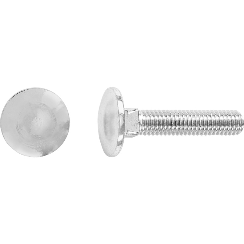 Vratový šroub M5 x 25 mm plný závit bíle pozinkovaný, 100 ks