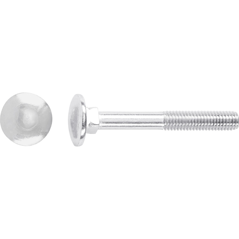 Vratový šroub M5 x 50 mm částečný závit bíle pozinkovaný, 100 ks