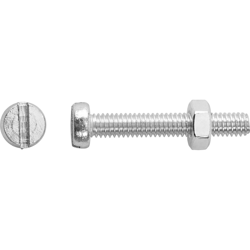 Závitový šroub s válcovou hlavou PZ bíle pozinkovaný M3 x 10 mm, 8 ks + matice