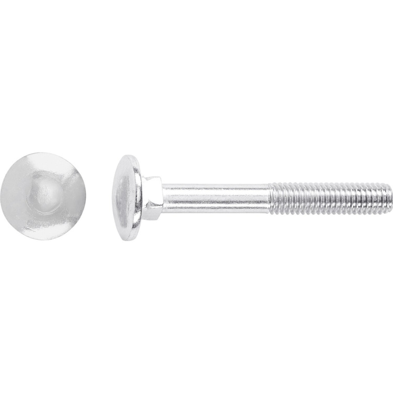 Vratový šroub M5 x 60 mm částečný závit bíle pozinkovaný - na váhu