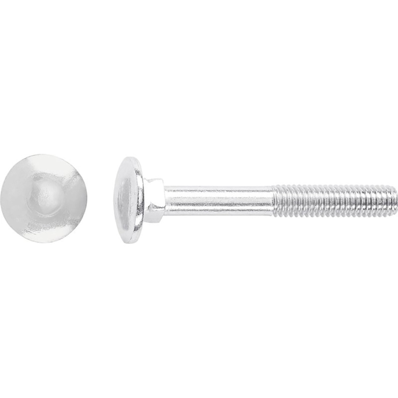 Vratový šroub M6 x 40 mm částečný závit bíle pozinkovaný - na váhu