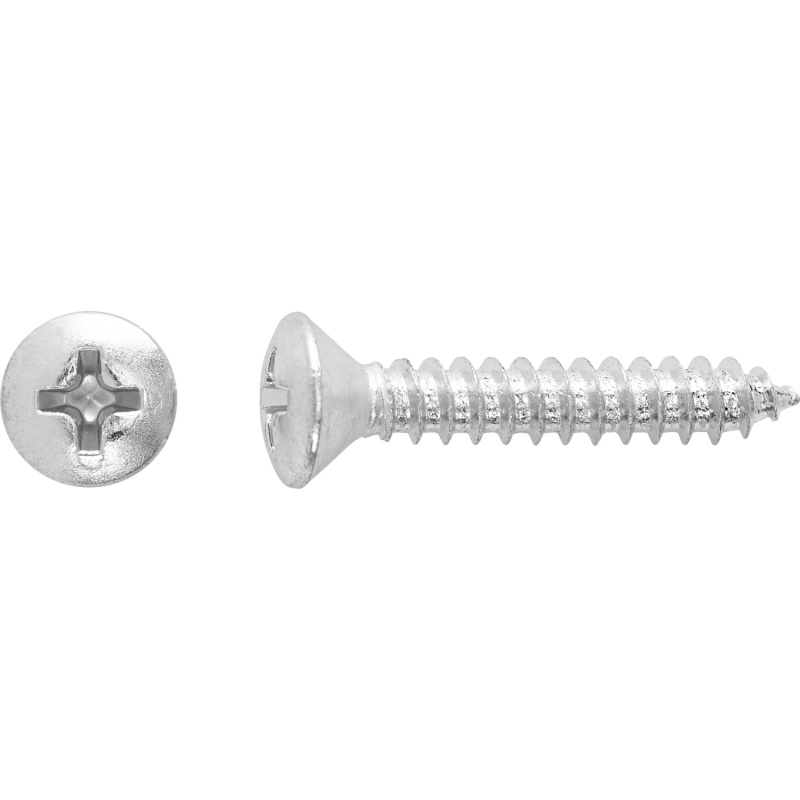 Vrut do plechu s čočkovou hlavou PH2 plný závit pozinkovaná ocel 4,8x19 mm,12ks