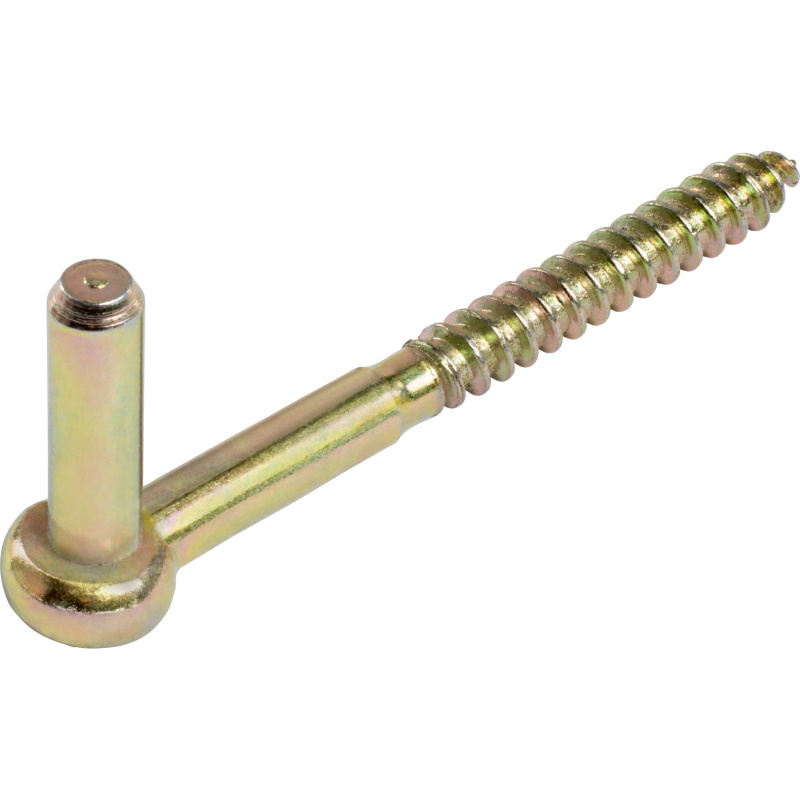 Šroubovací závěsný čep, žlutě pozinkovaný, 110 mm,   10 mm