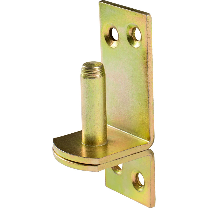 Šroubovací závěsný čep D1, žlutě pozinkovaný, 80 mm x 30 mm,   10 mm