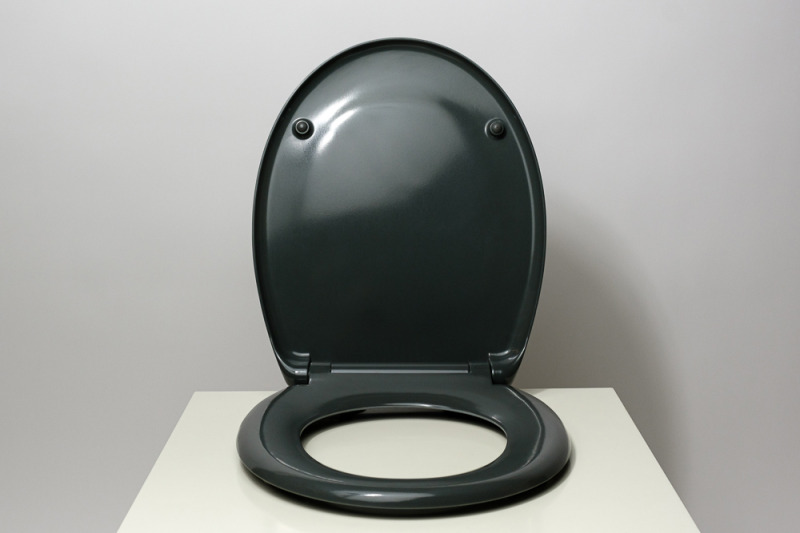 Schütte WC sedátko s automatickým sklápěním (antracitová)