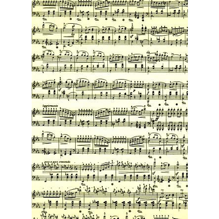 Transparentní papír A4 žlutý s notami (5ks)