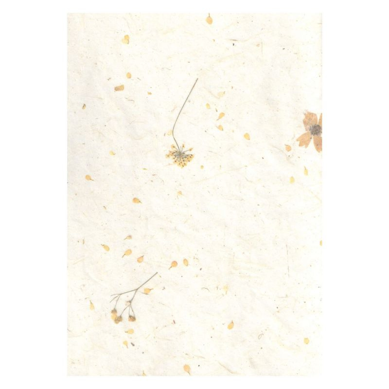 Přírodní papír se žlutými kvítky 35g/m2 (5ks)
