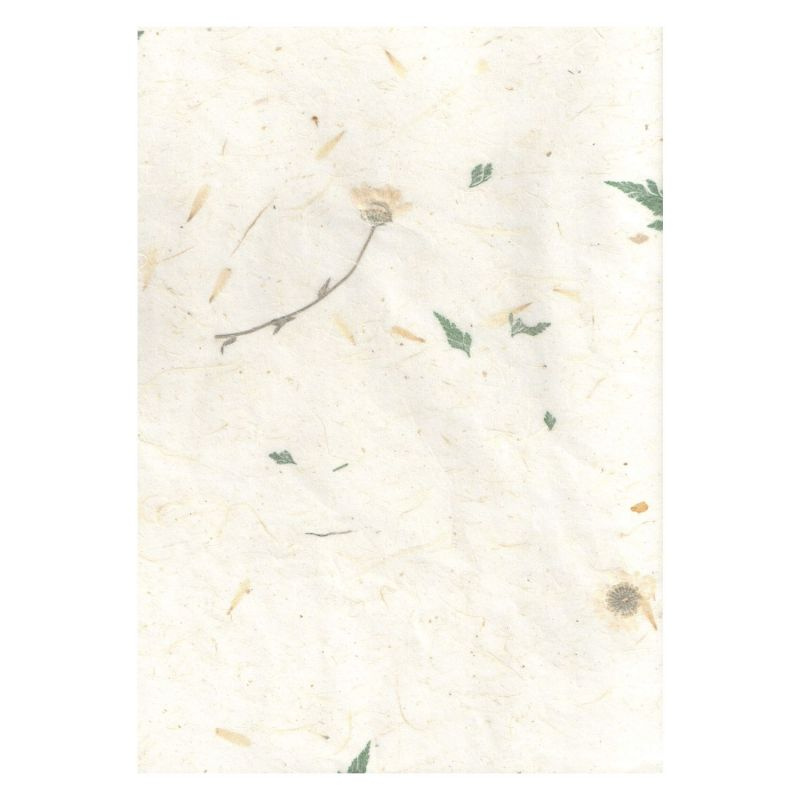 Přírodní papír s kvítky a listy 35g/m2 (5ks)