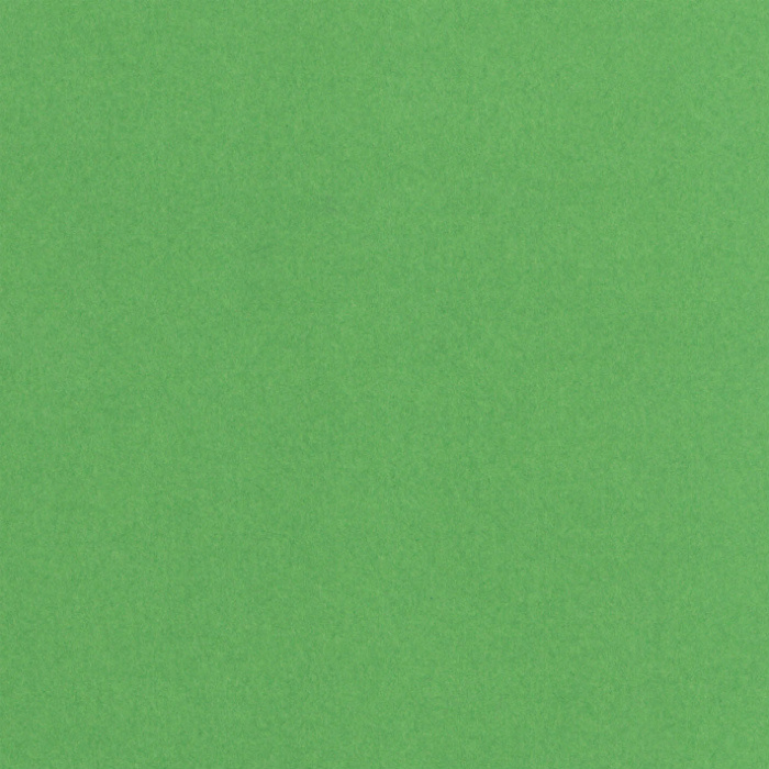 Barevný papír (10ks) A4 zelený 220g/m2