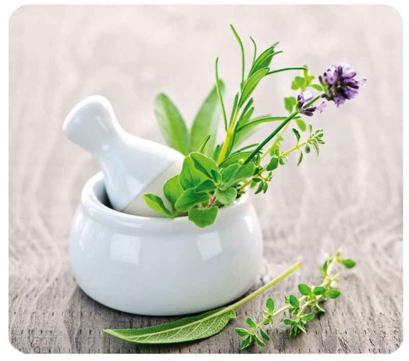 Ochranný skleněný panel HERB GARDEN na sporák, WENKO 2712940500 vícebarevná