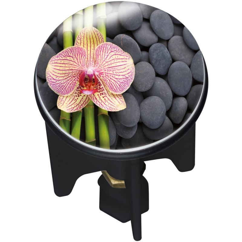 Wenko Zátka do odtoku Pluggy Spa vícebarevná