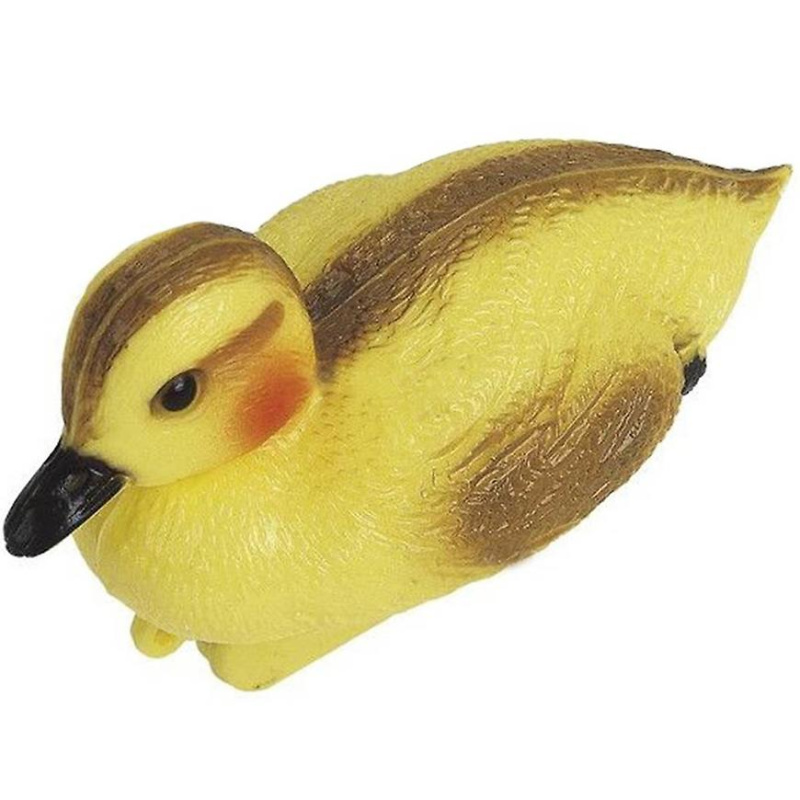 Plovoucí káčátko