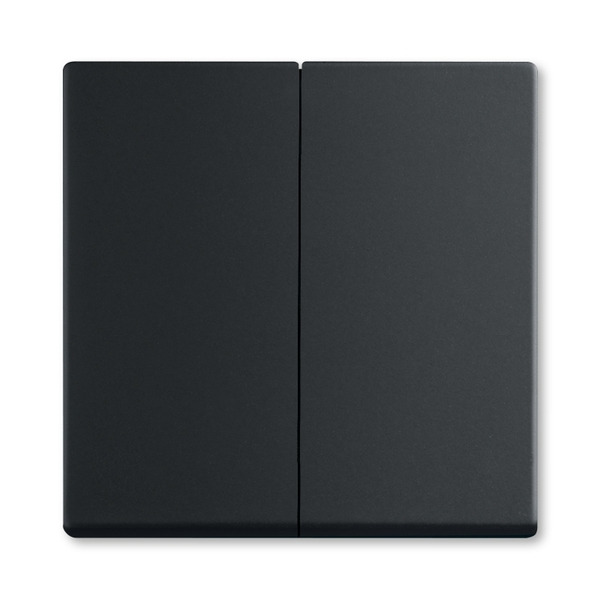 ROZBALENO Kryt pro Friends of Hue smart switch FUTURE mech.č ABB